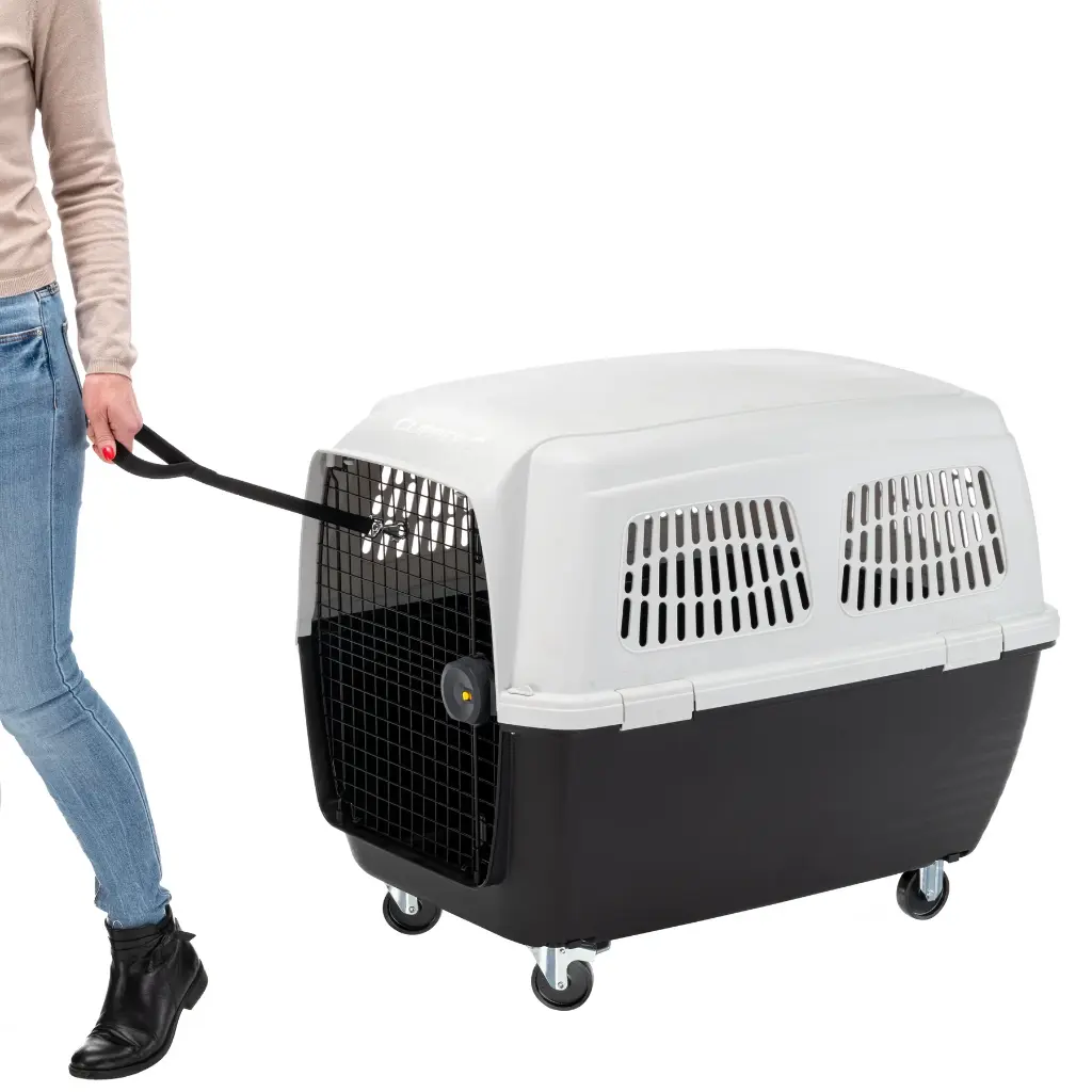 Clipper 6 dog crate 2025